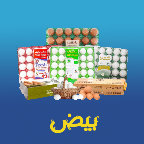 بيض